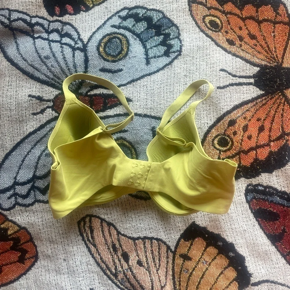aerie bra